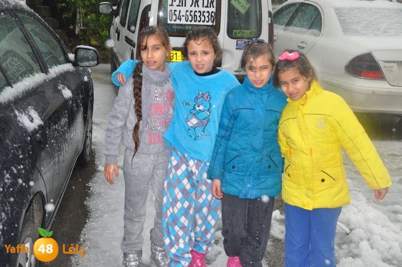 iceman lud 1213 (24).JPG